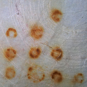 Rust washers - closeup